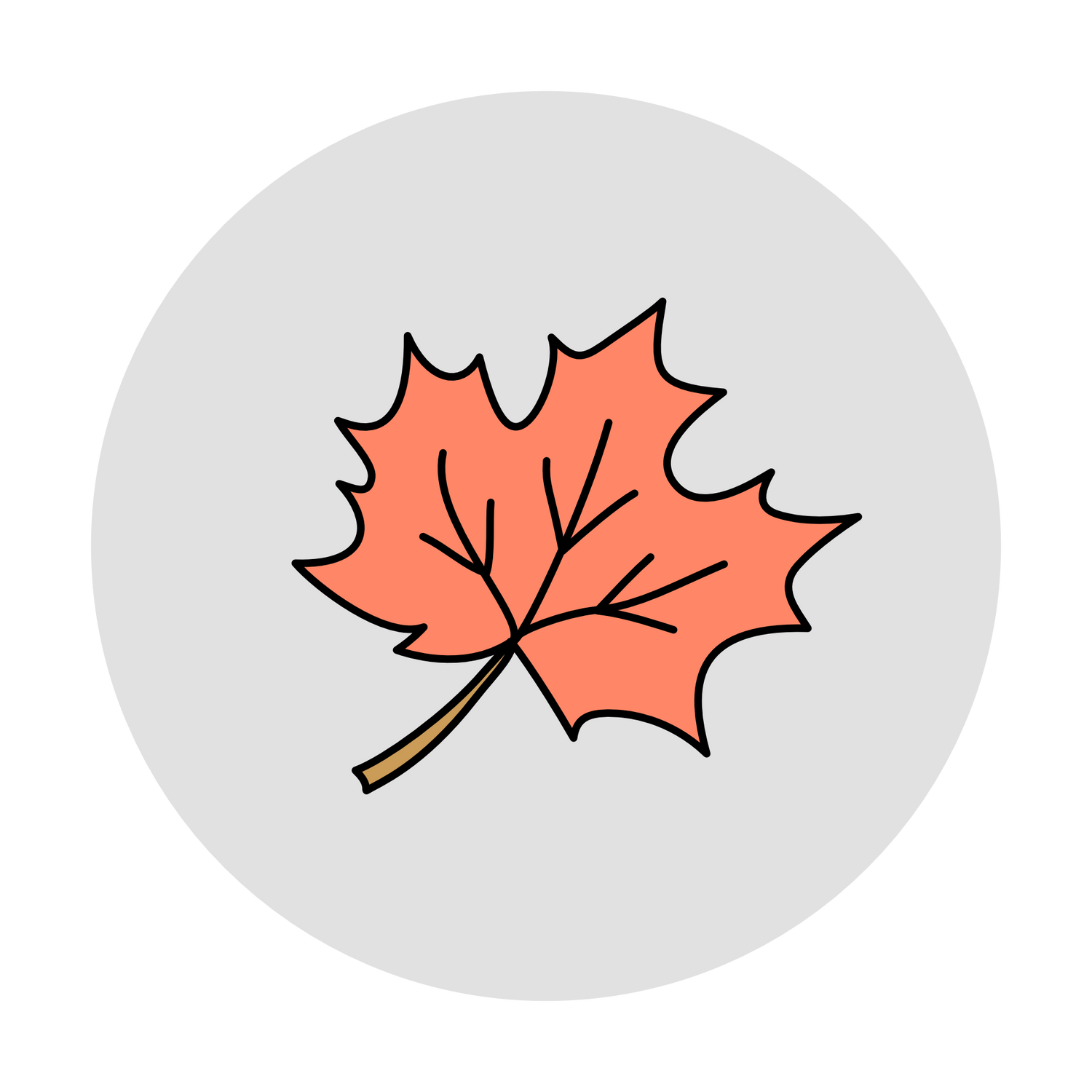 Herbstkollektion